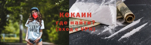 винт Гусев