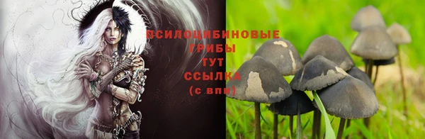 винт Гусев