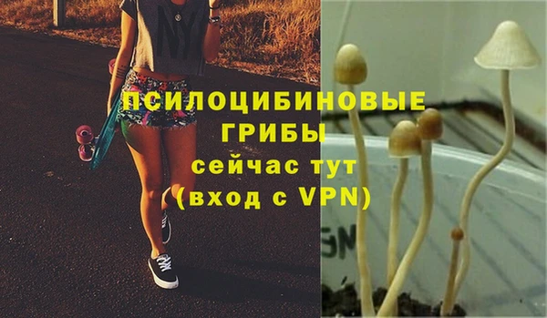 ALPHA-PVP Гусиноозёрск