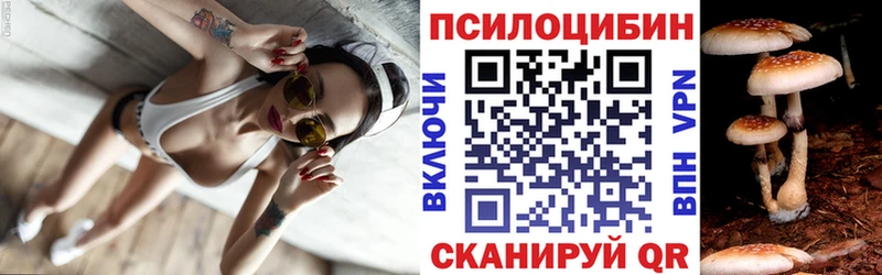 Псилоцибиновые грибы мухоморы нарко площадка наркотические препараты Жердевка